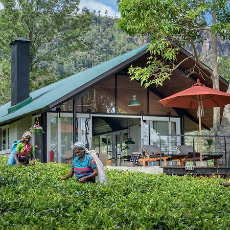 Madulkelle Tea And Eco Lodge Kandy Eksteriør bilde