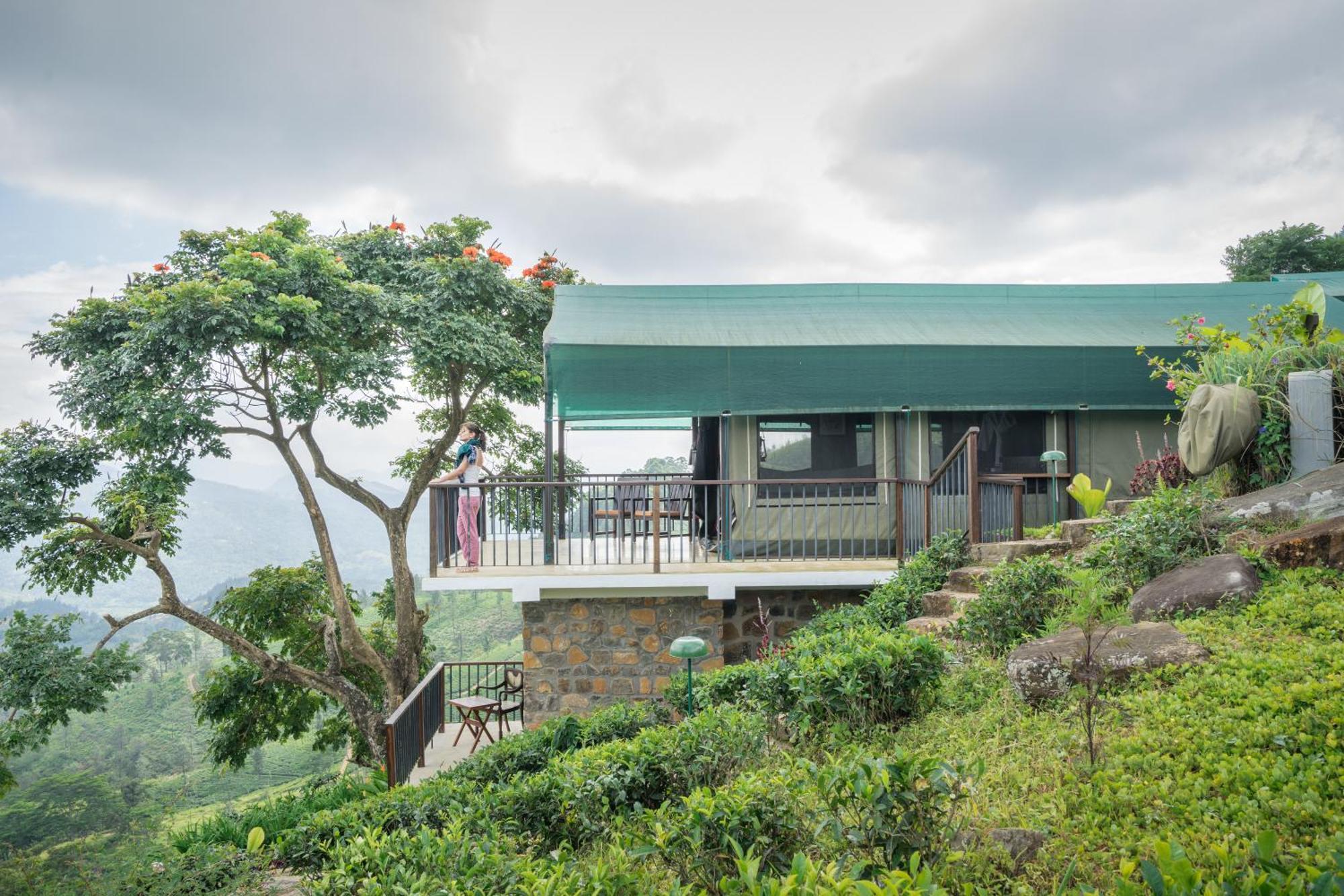 Madulkelle Tea And Eco Lodge Kandy Eksteriør bilde