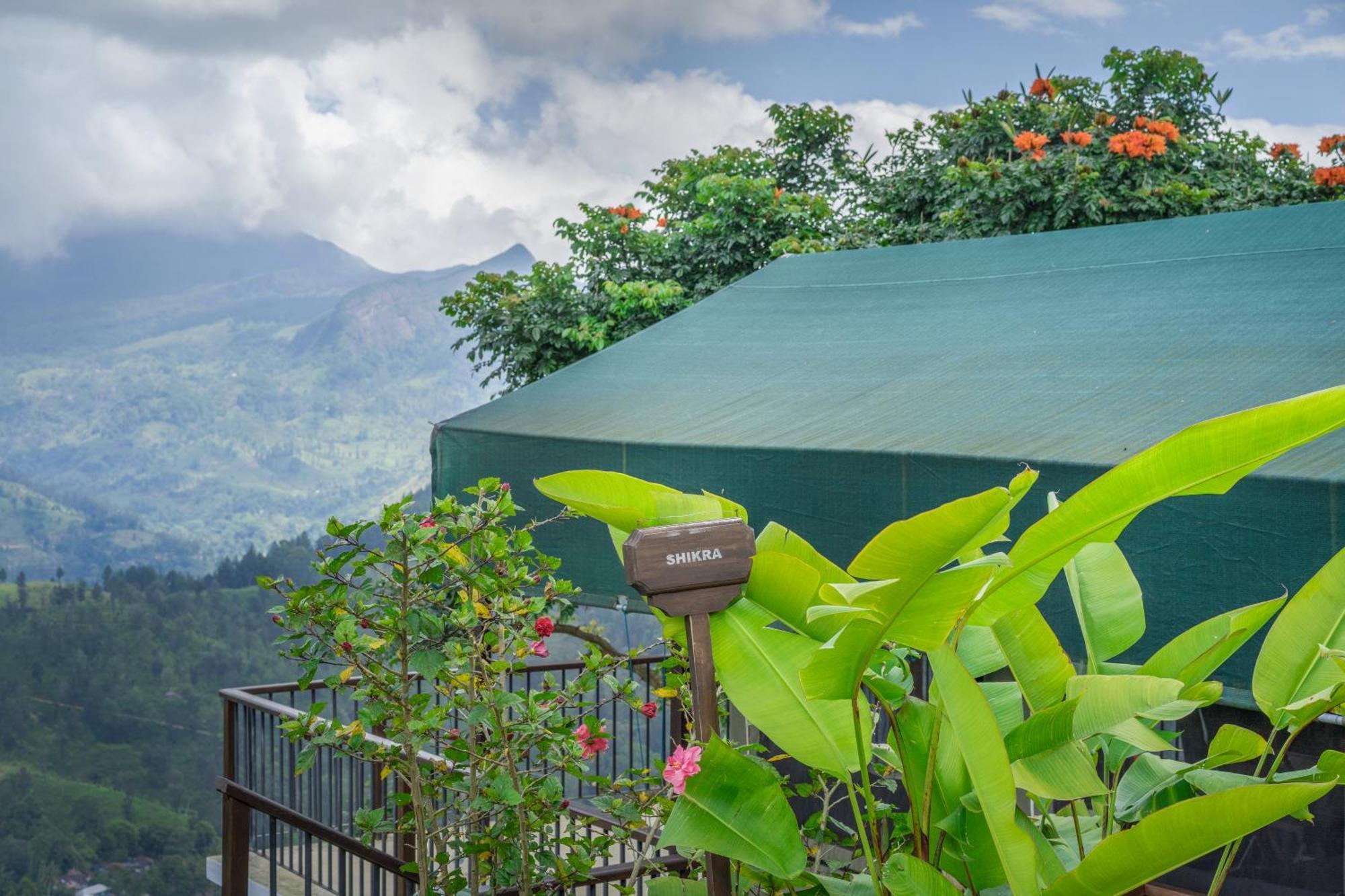 Madulkelle Tea And Eco Lodge Kandy Eksteriør bilde