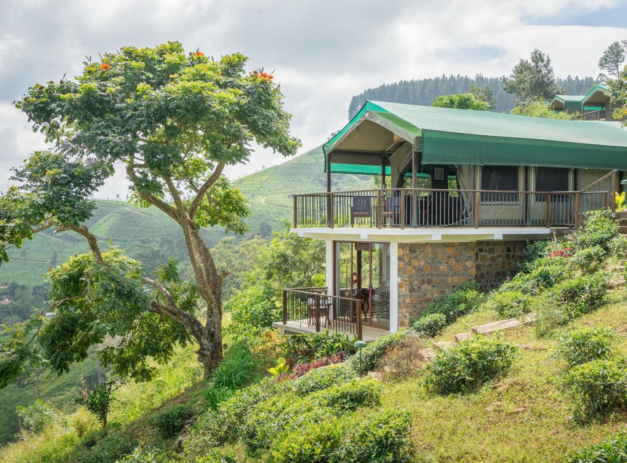 Madulkelle Tea And Eco Lodge Kandy Eksteriør bilde