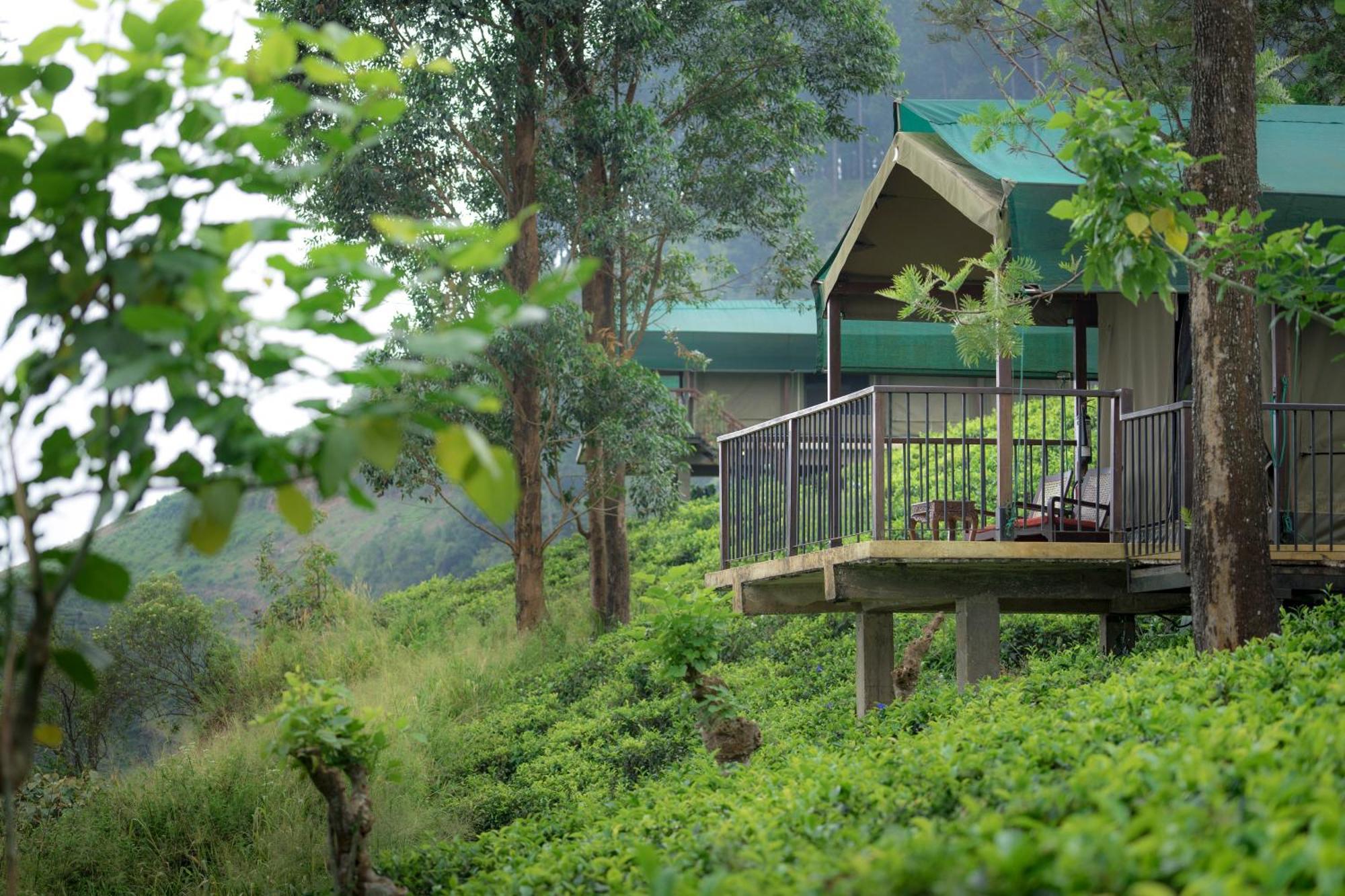 Madulkelle Tea And Eco Lodge Kandy Eksteriør bilde