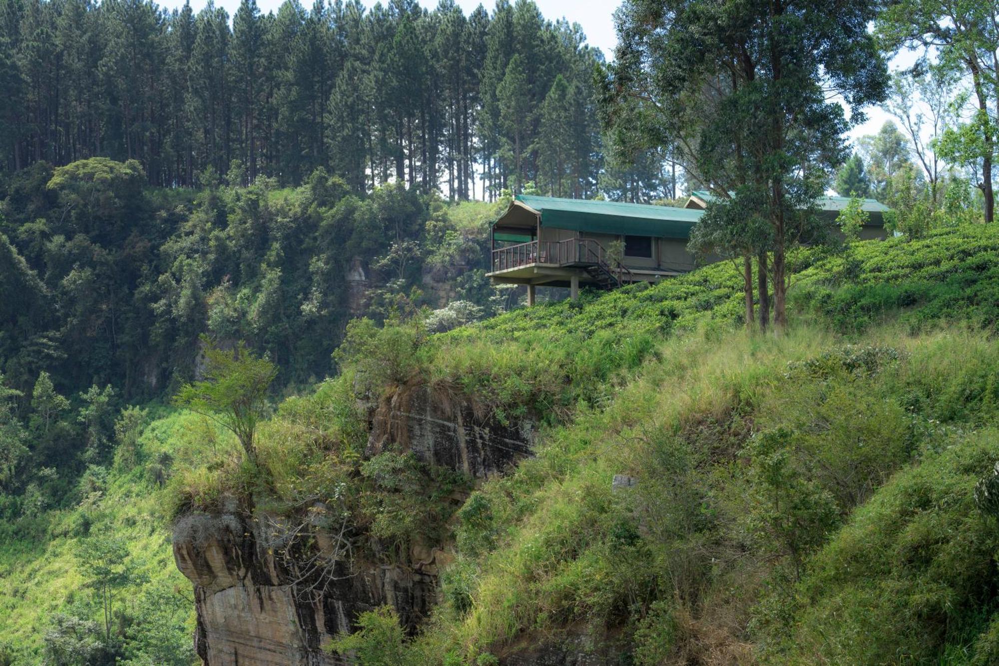 Madulkelle Tea And Eco Lodge Kandy Eksteriør bilde