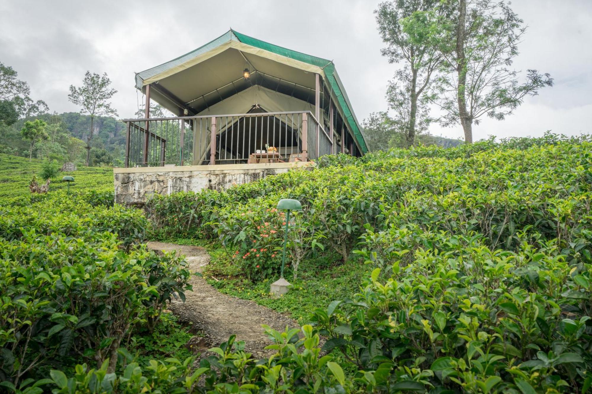 Madulkelle Tea And Eco Lodge Kandy Eksteriør bilde