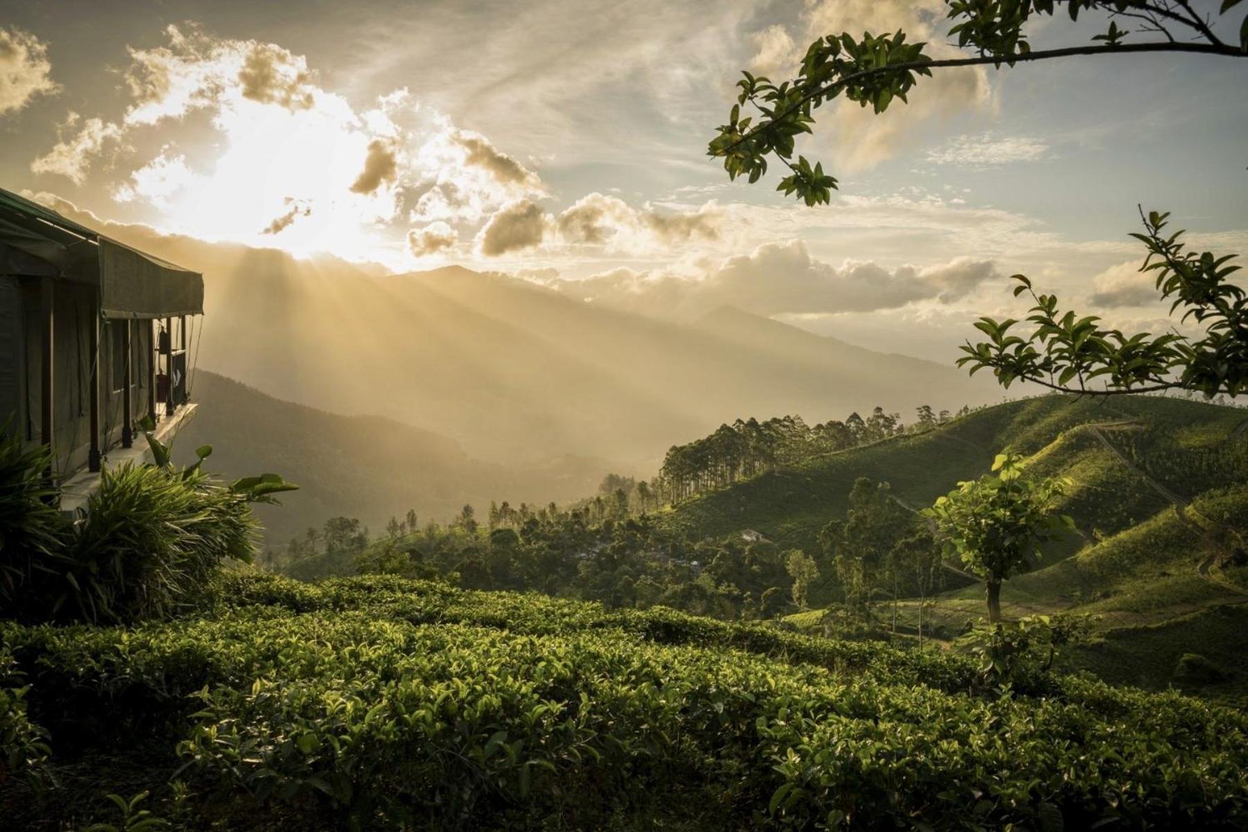 Madulkelle Tea And Eco Lodge Kandy Eksteriør bilde