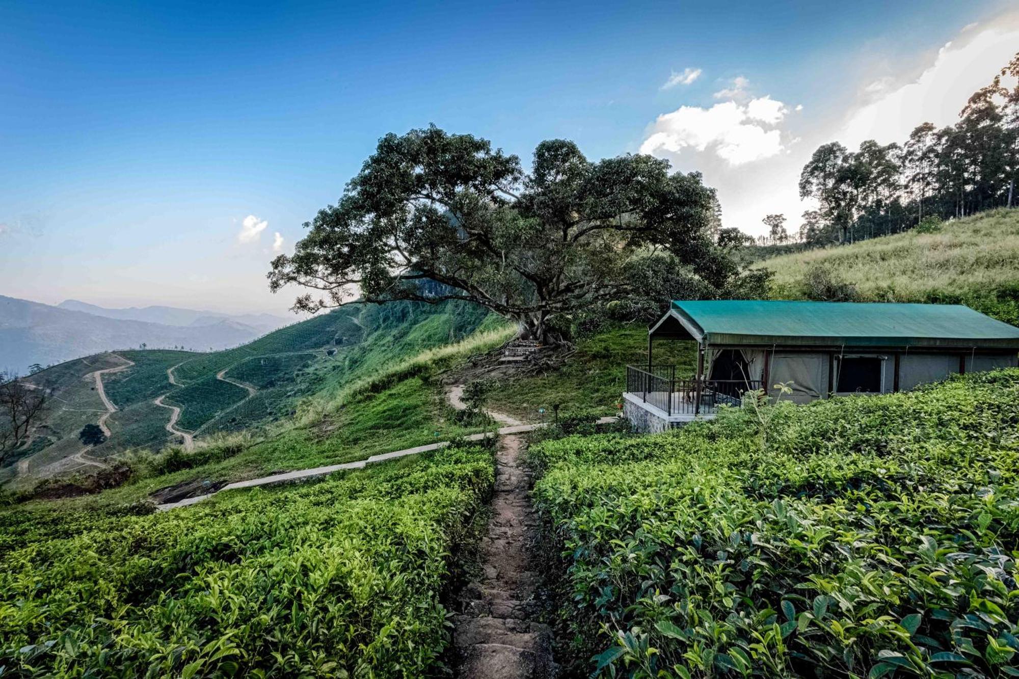 Madulkelle Tea And Eco Lodge Kandy Eksteriør bilde